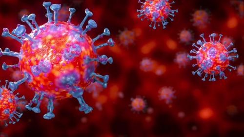 Image of COVID-19 or Coronavirus