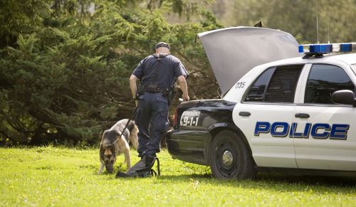 police search